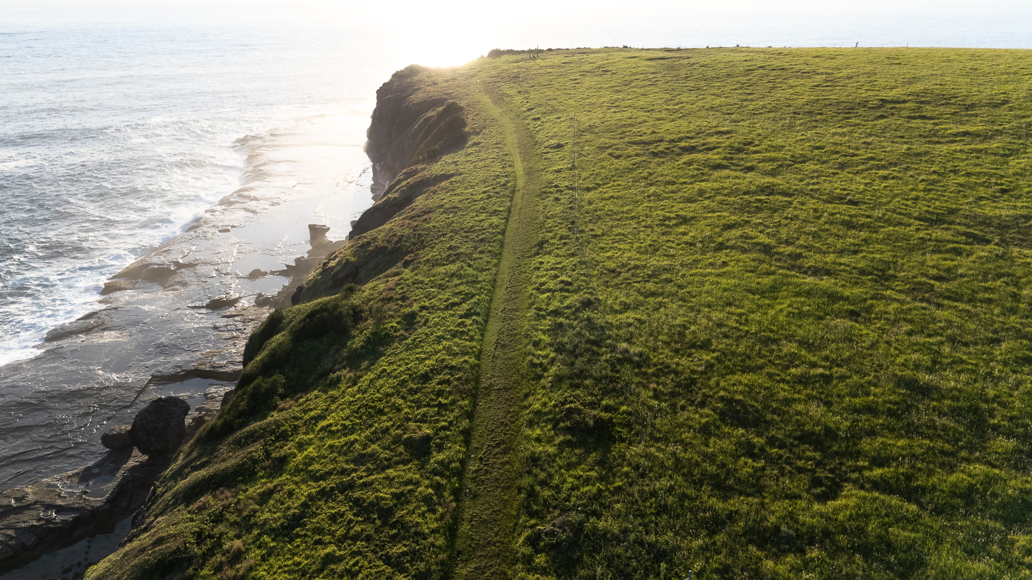 A walking path along the cliff edge, the Tasman Sea beyond
