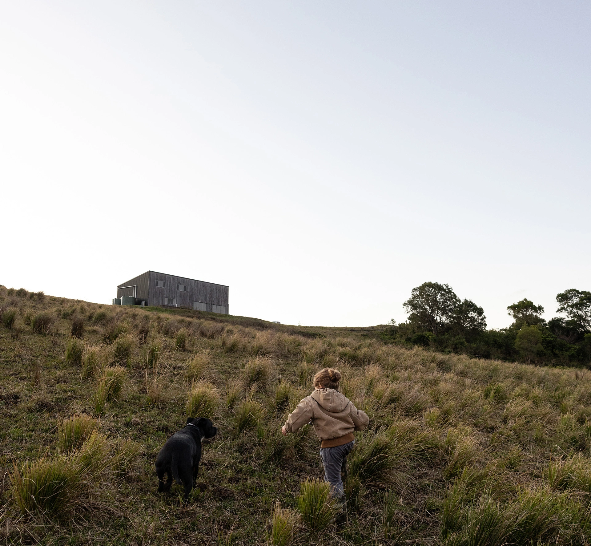 Boy with dog running up hill to shed