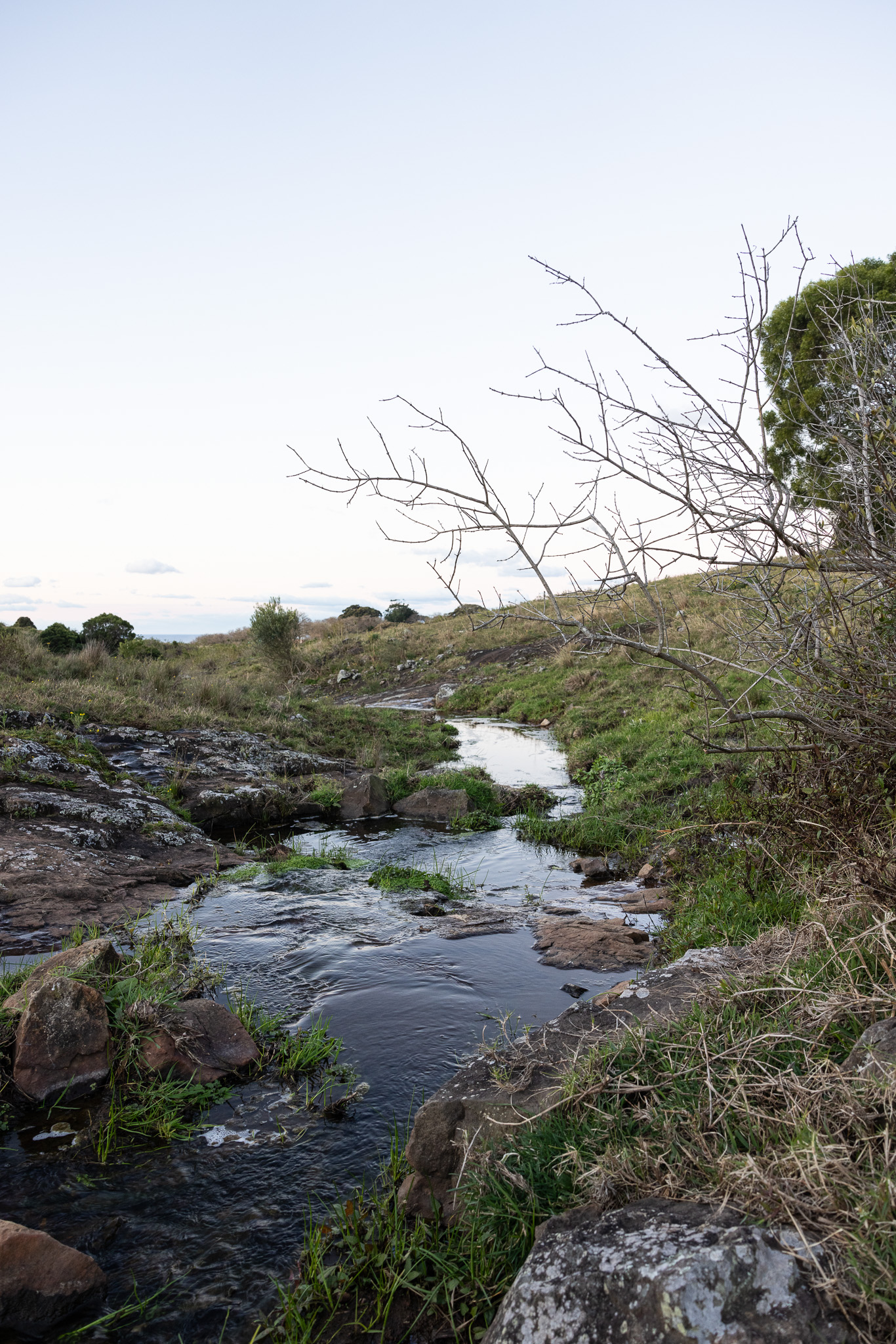 creek over rocks